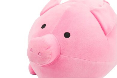 Plyšák - vankúšik - PRASIATKA - ružové